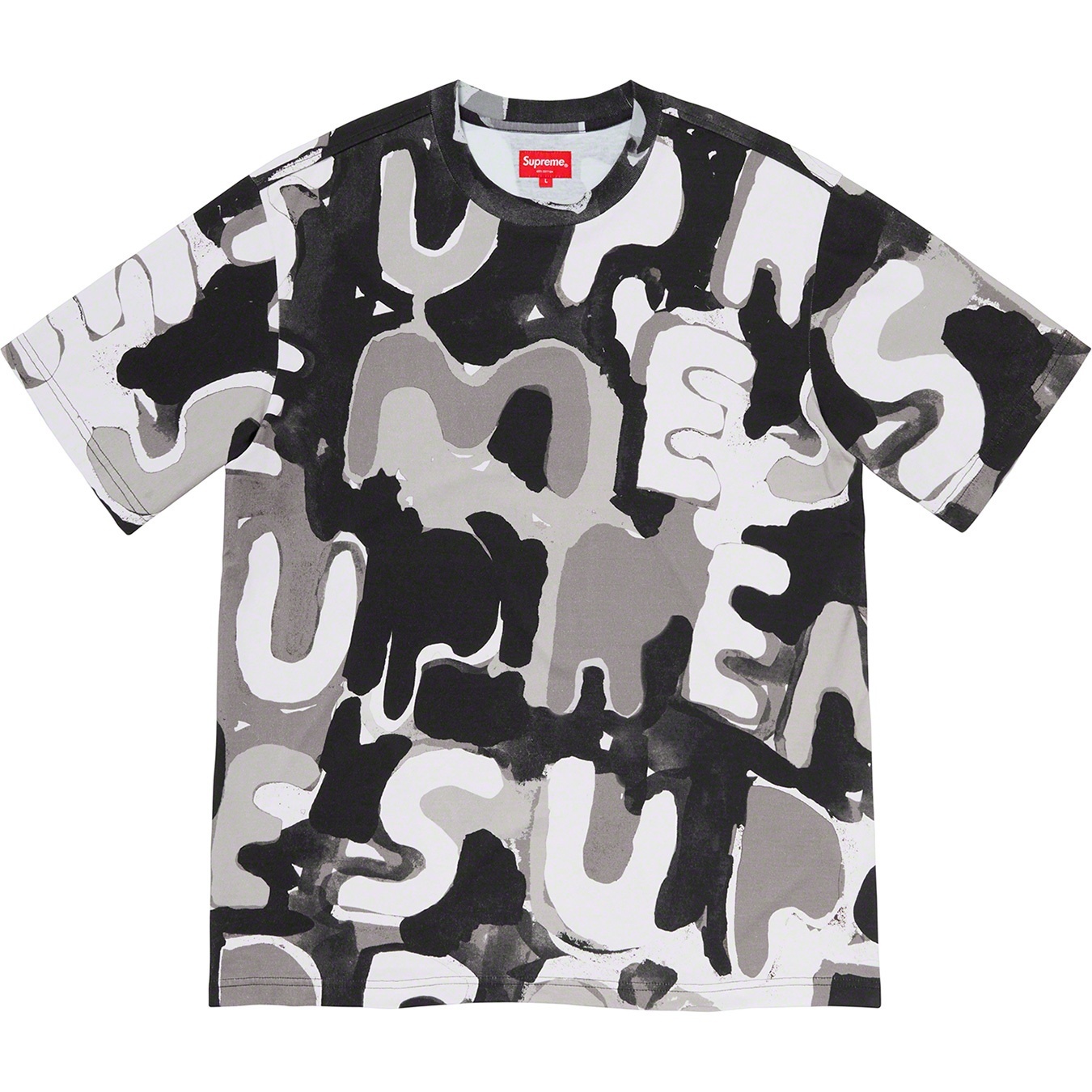 Painted Logo S/S Top view 3